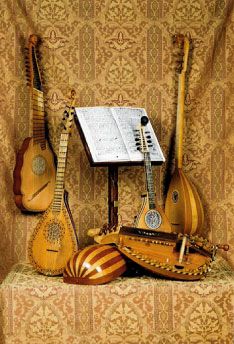 Tudor Stringed Instruments List