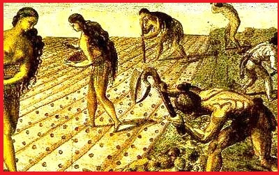 Natives in The Encomienda System