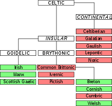 Celtic Language Tree
